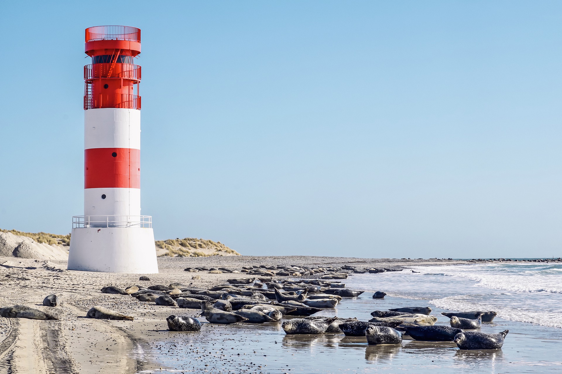 nordsee-leuchtturm.jpg