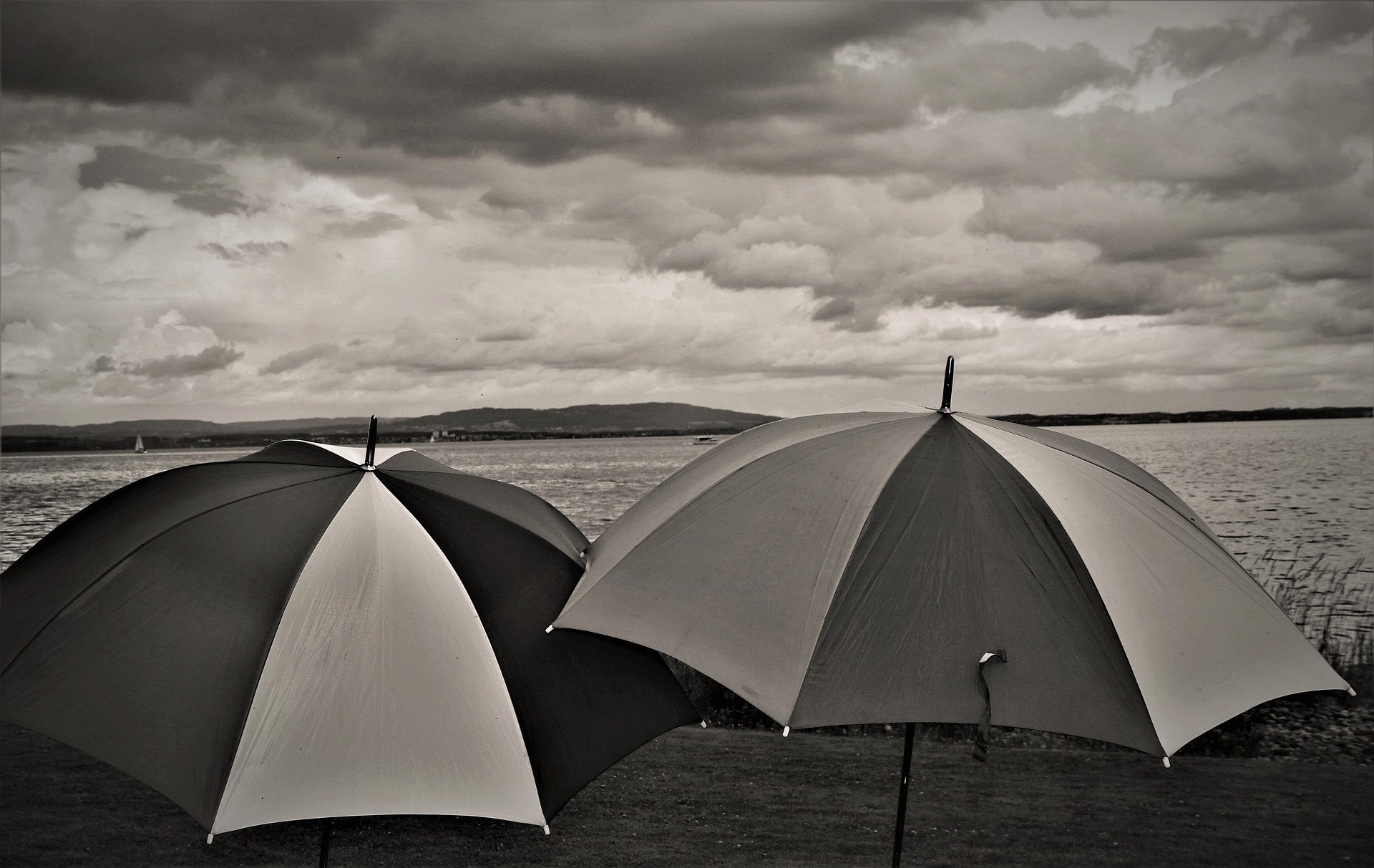 schlechtwetter-regenschirm.jpg